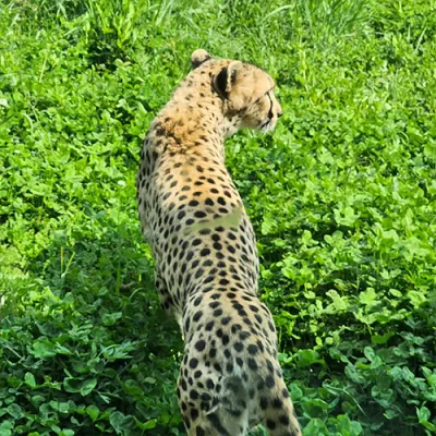 리뷰어 이미지