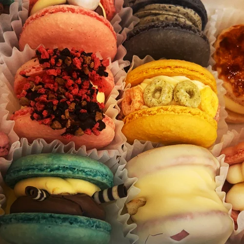 포트폴리오 이미지