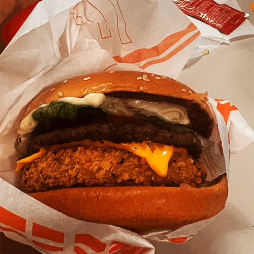 첨부 이미지 2